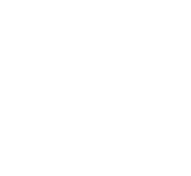 Full Screen